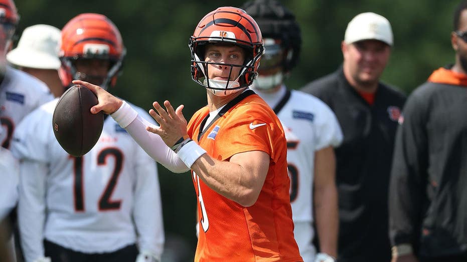 2026 NFL season predictions: Division winners, playoff teams and Super Bowl pick revealed