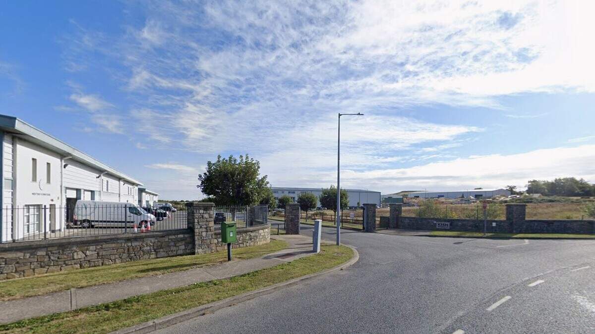 30-metre telecoms mast proposed at Wicklow business park