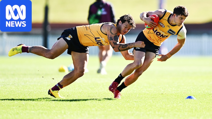 AFL acts to reduce head trauma at training for men and women