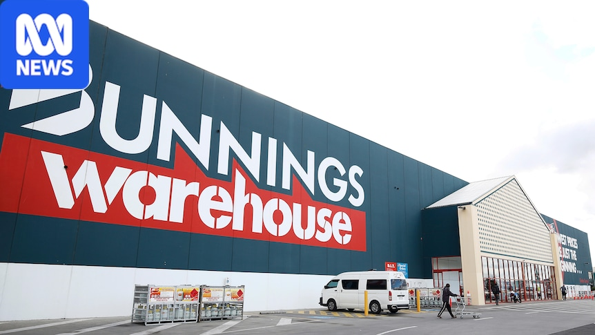 AI chatbots like Buddy at Bunnings years from becoming norm