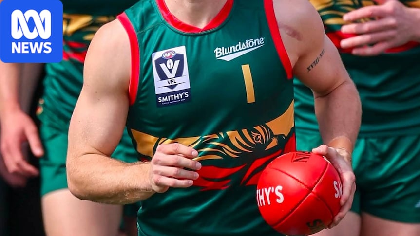 AI company deal with AFL club defended by team boss