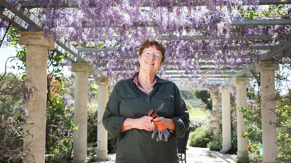 ANDREW WHITELY: A riot of colour in playful paradise