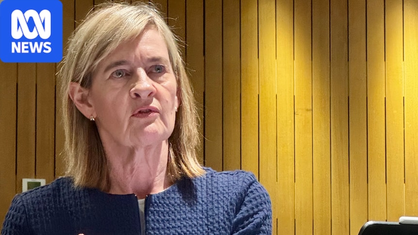 ASIC probing hundreds of audit complaints at big four accounting firms