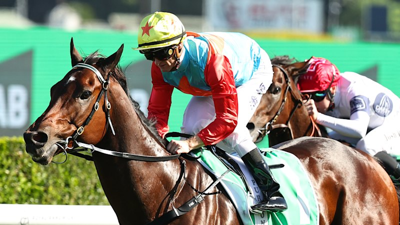 ATC ready for turf war to make Ka Ying Rising, Autumn Glow, Sheza Alibi match race a reality