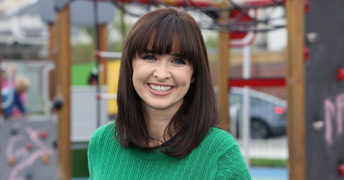 Academic resigns from Leaving Cert maths reform group over ‘incoherent and inaccurate’ courses