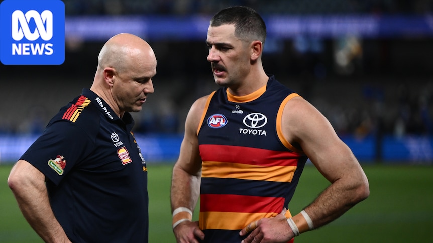 After Adelaide's crushing AFL semi-final loss, where to from here?