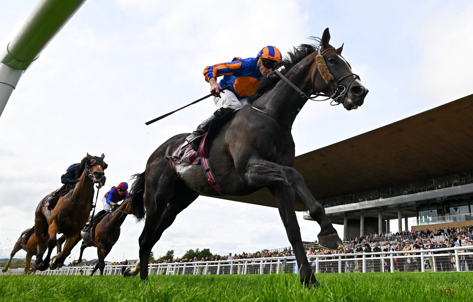 Aidan O'Brien's classy stayer Scandinavia takes winning run to eight in Irish St Leger