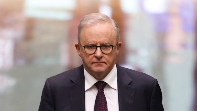 Albanese, Taylor hold talks on migration, as Labor eyes low-key policy reveal
