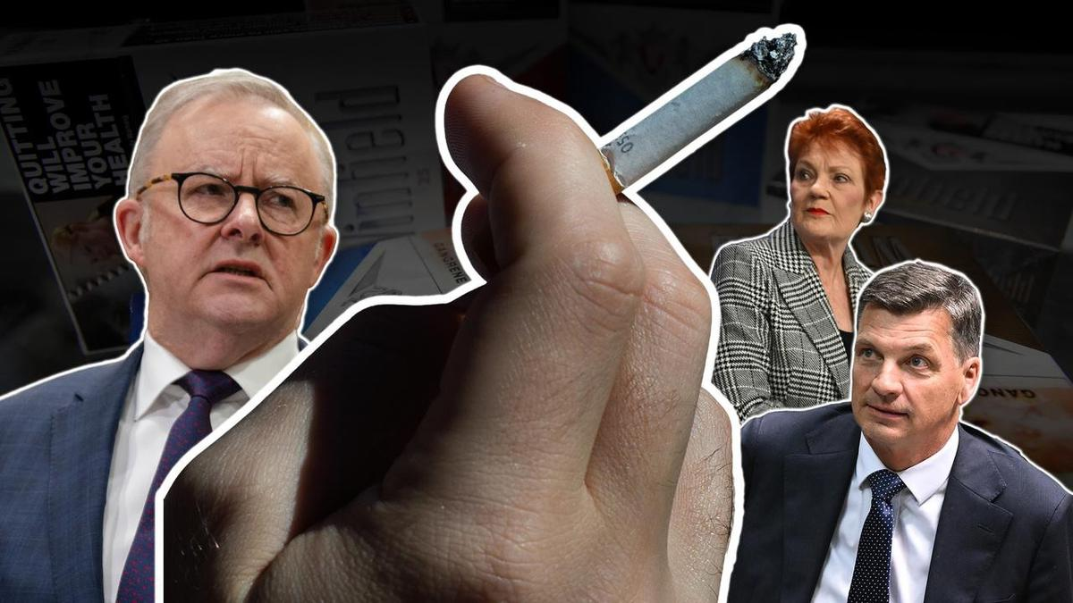 Albanese leaves door open to cutting tobacco excise