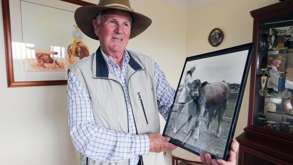 Albany 2026: The day the Advertiser heralded the arrival of Greenwarri 1, Australia’s first Charolais calf