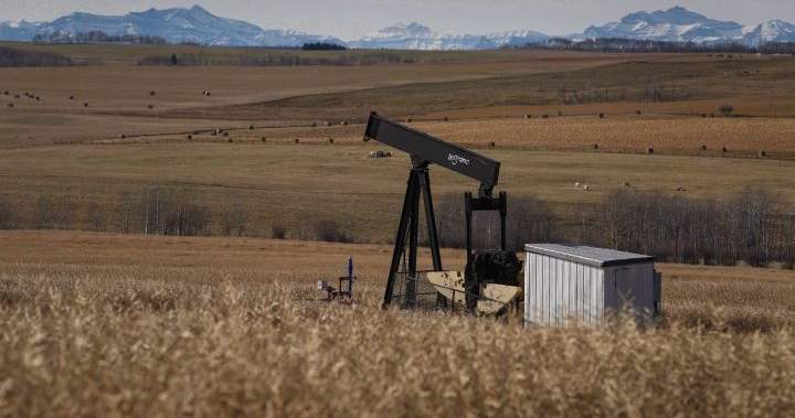 Alberta landowners challenge ‘chronic underfunding’ for orphan well cleanup