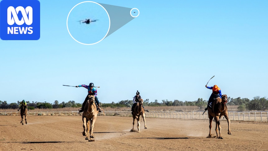 Amateur drone pilots put races and aircraft at risk, authorities say