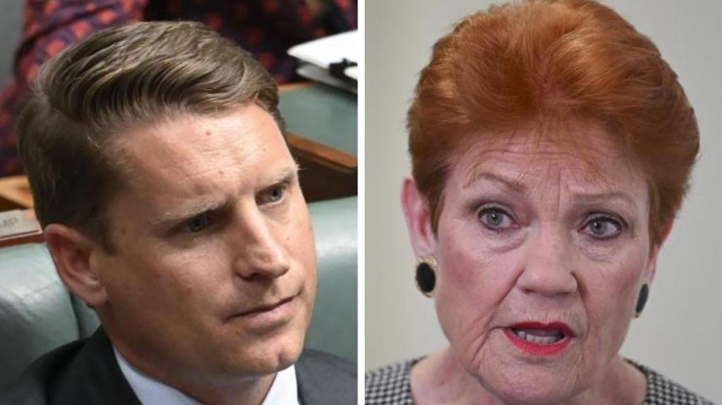 Andrew Hastie calls on Pauline Hanson to ‘explain’ war crime laws stance