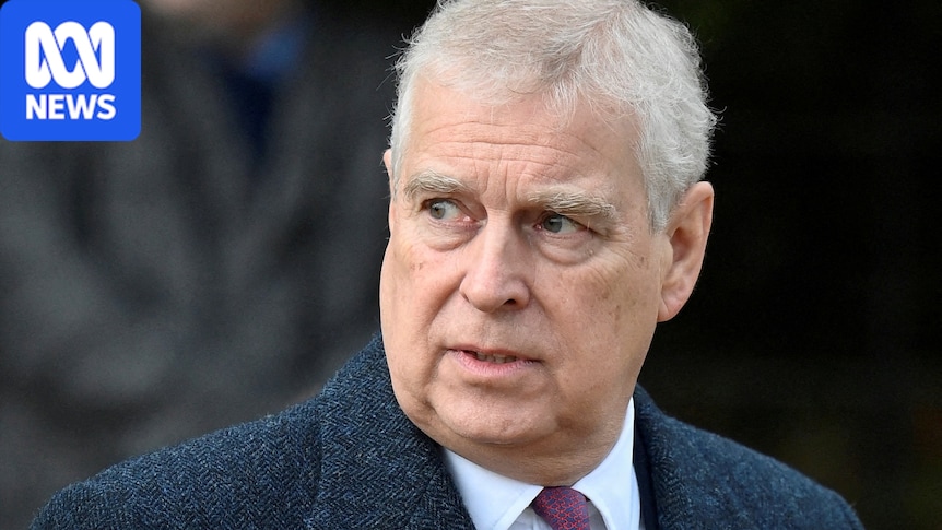 Andrew Mountbatten-Windsor 'committed sex crimes in US', congressman says