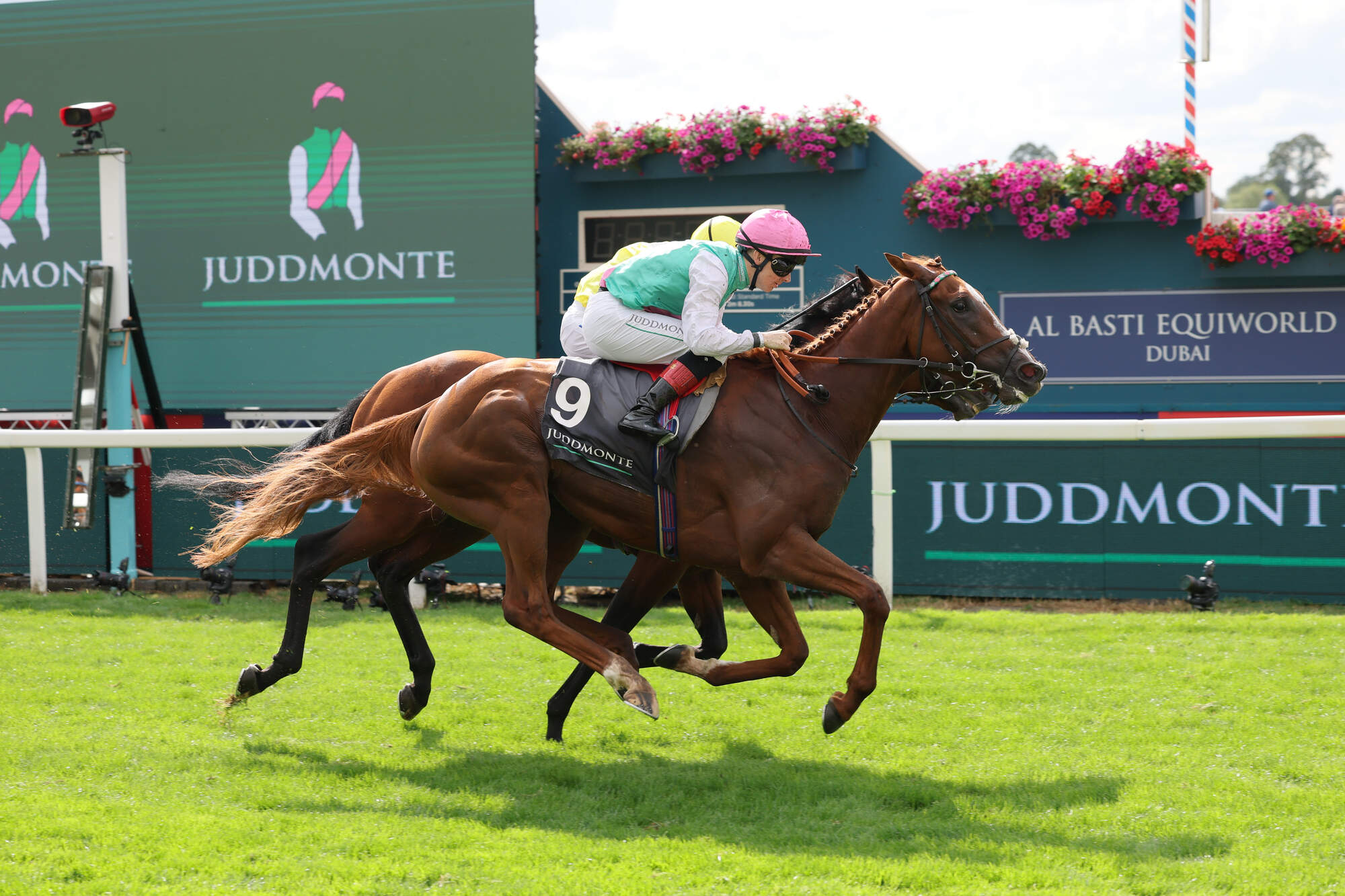 Arc decisions for Juddmonte aces depend on Leopardstown displays
