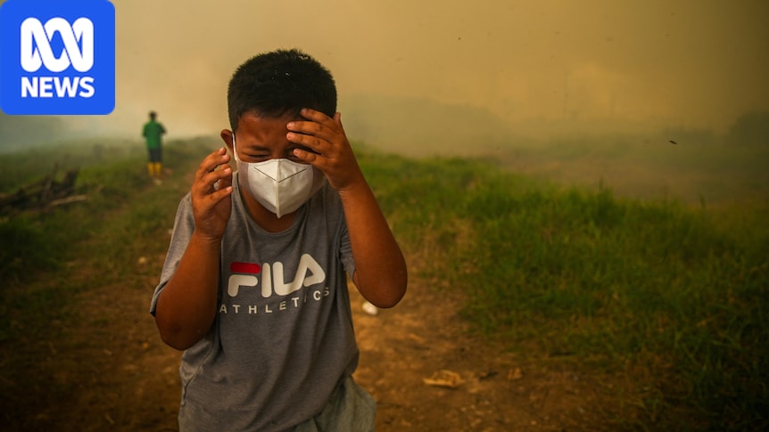 Area four times size of Singapore burns in Indonesia's wildfires