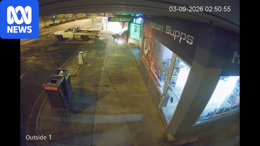 Arrests made at Ballarat bikie clubhouse over alleged botched arson attack