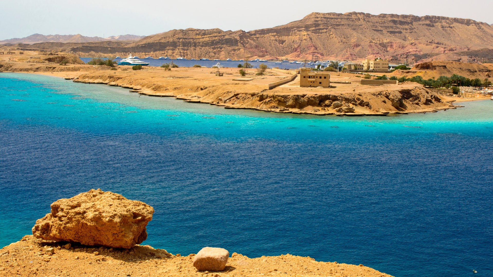 At least 16 killed & 28 injured after horror bus crash in popular tourist hotspot in Egypt