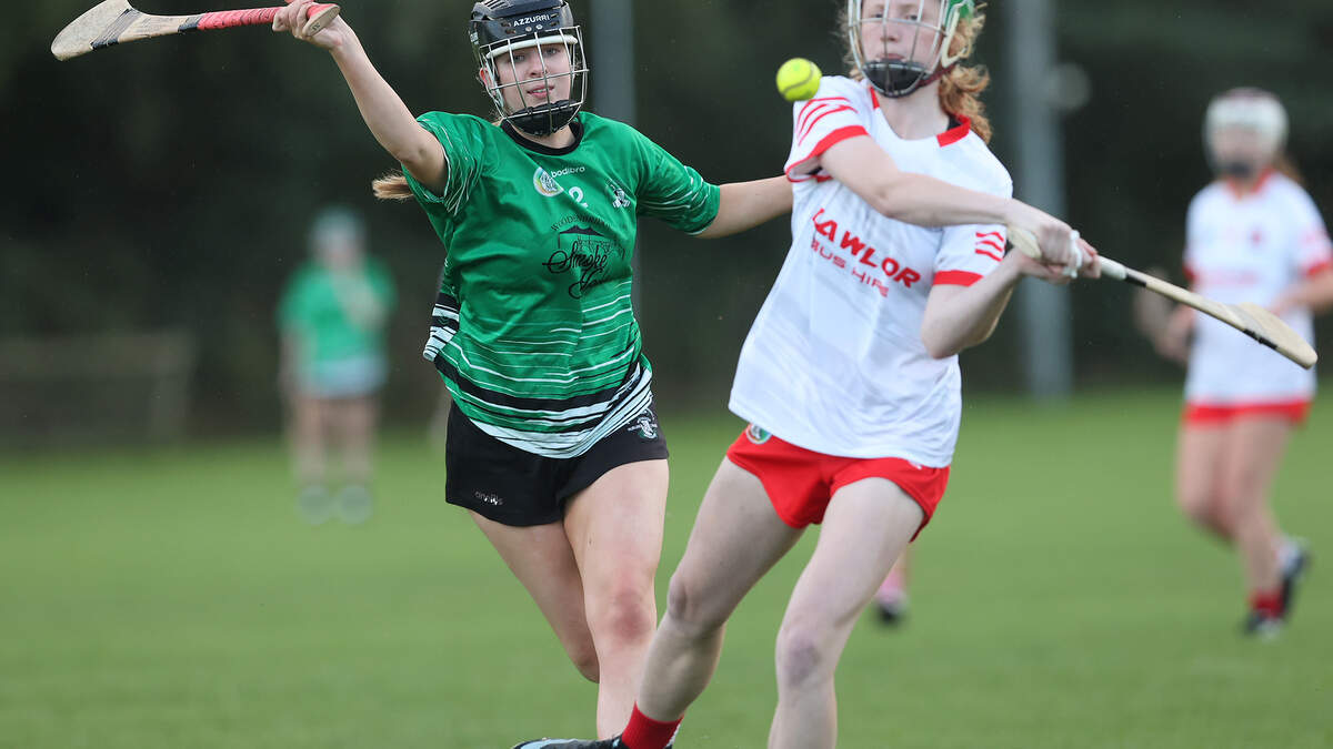 Aughrim edge out Arklow Rock Parnells in entertaining camogie clash