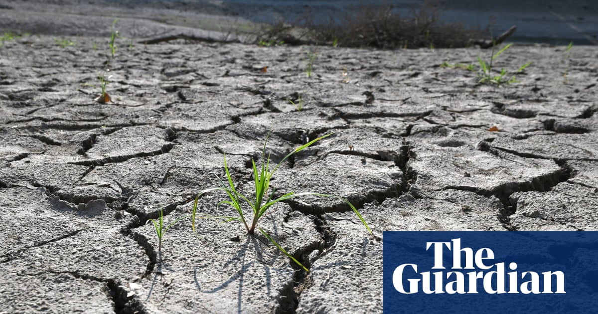 August was joint-hottest month ever recorded globally