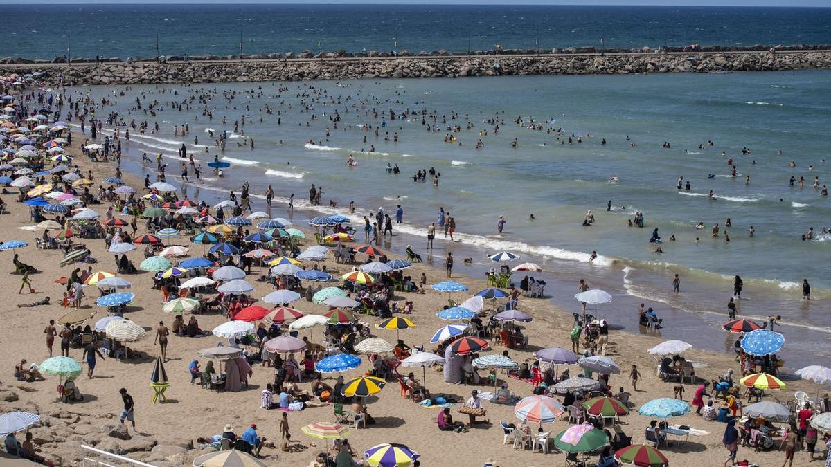 August was the world's joint-hottest month on record