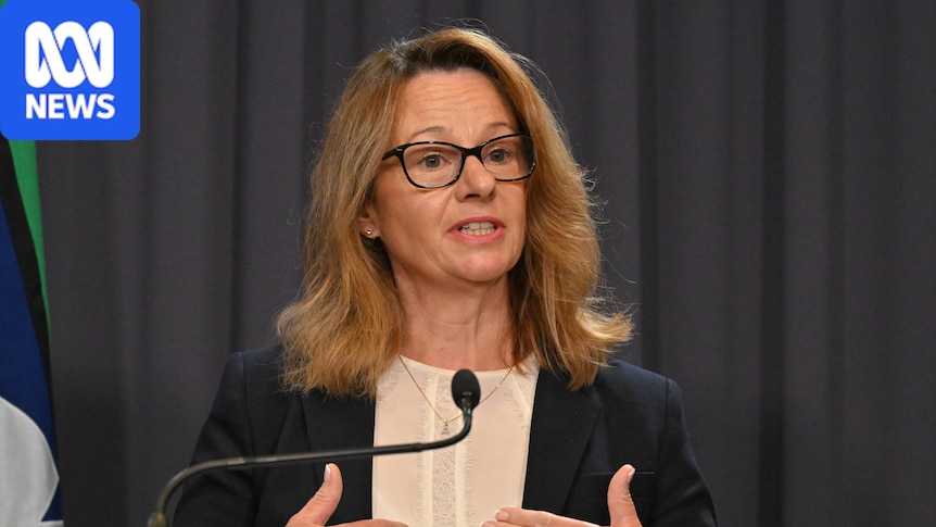 Australia needs AI 'early warning system', cyber security chief says