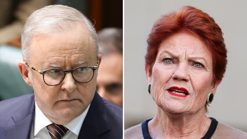 Australia news LIVE: One Nation reveals migration plan; Trump downplays AI threat; voters lose faith in PM on economy
