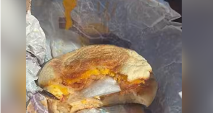 Australian police find meth hidden inside McMuffin breakfast sandwich
