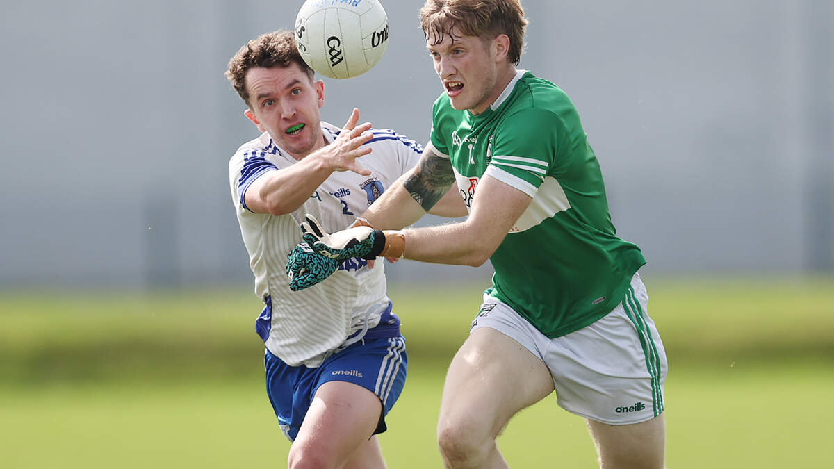 Avondale and Wicklow forward Oisín McGraynor feeling ‘perfect’ again after six-week lay-off