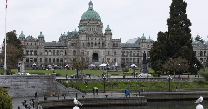 B.C. Conservative MLA Donegal Wilson quits caucus