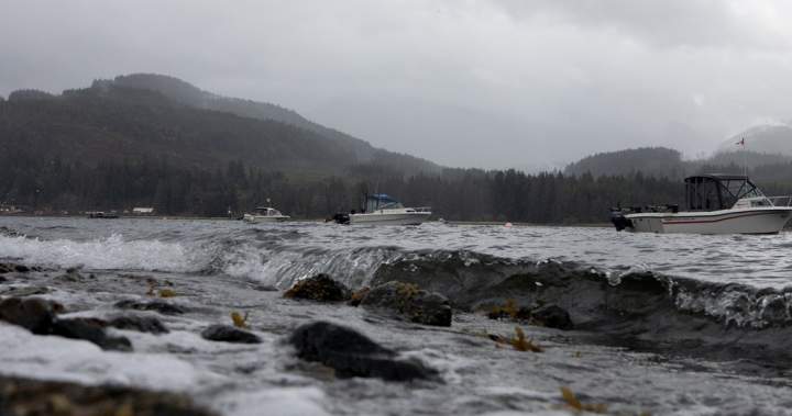 B.C. coast, parts of Vancouver Island set to see heavy rains, strong winds