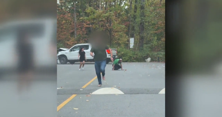 B.C. driver helps save man from knife-wielding suspect in Surrey park