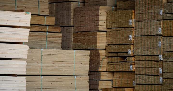 B.C. forestry industry says it’s at ‘breaking point’ in letter to Eby