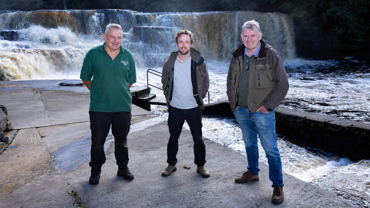 Ballisodare Fisheries doing ‘utmost’ to revitalise previous salmon stocks