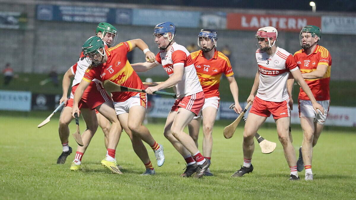 Ballyfad survive late scare as Horeswood lose Intermediate hurling status