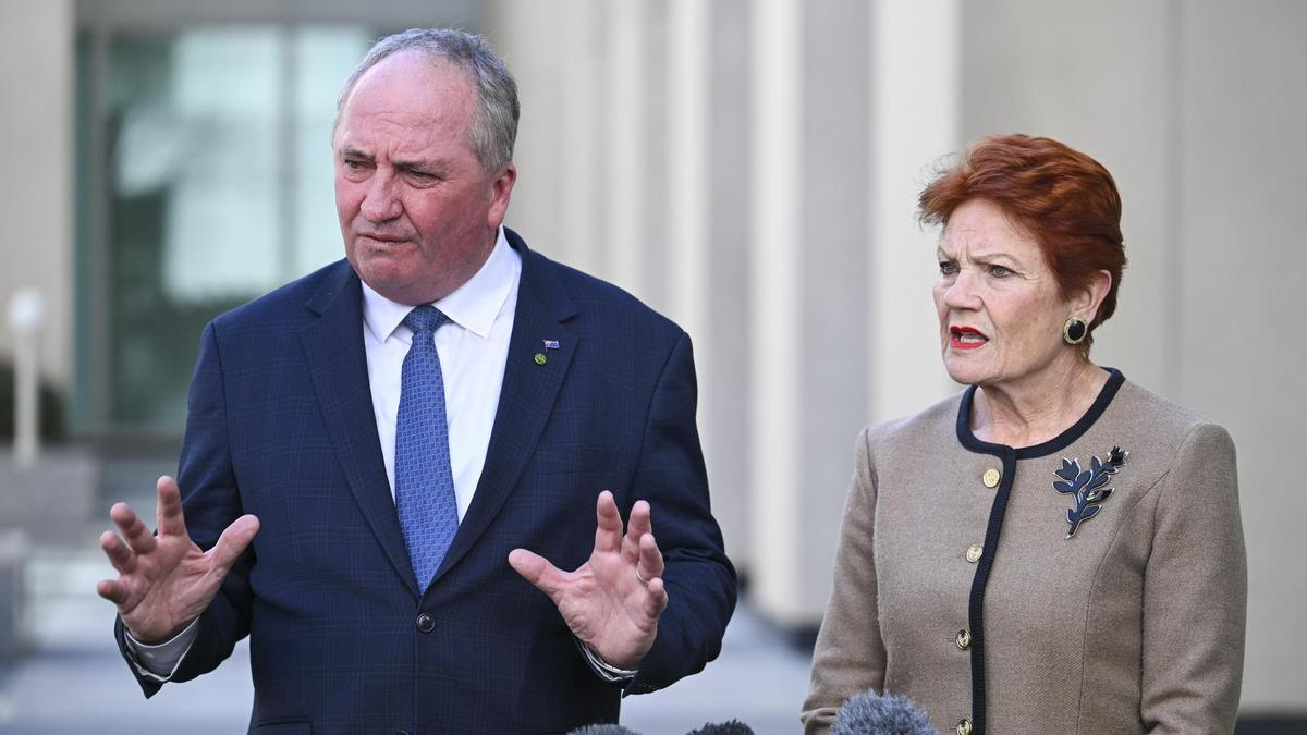 Barnaby Joyce’s backs One Nation leader Pauline Hanson’s criticism of PM’s mum