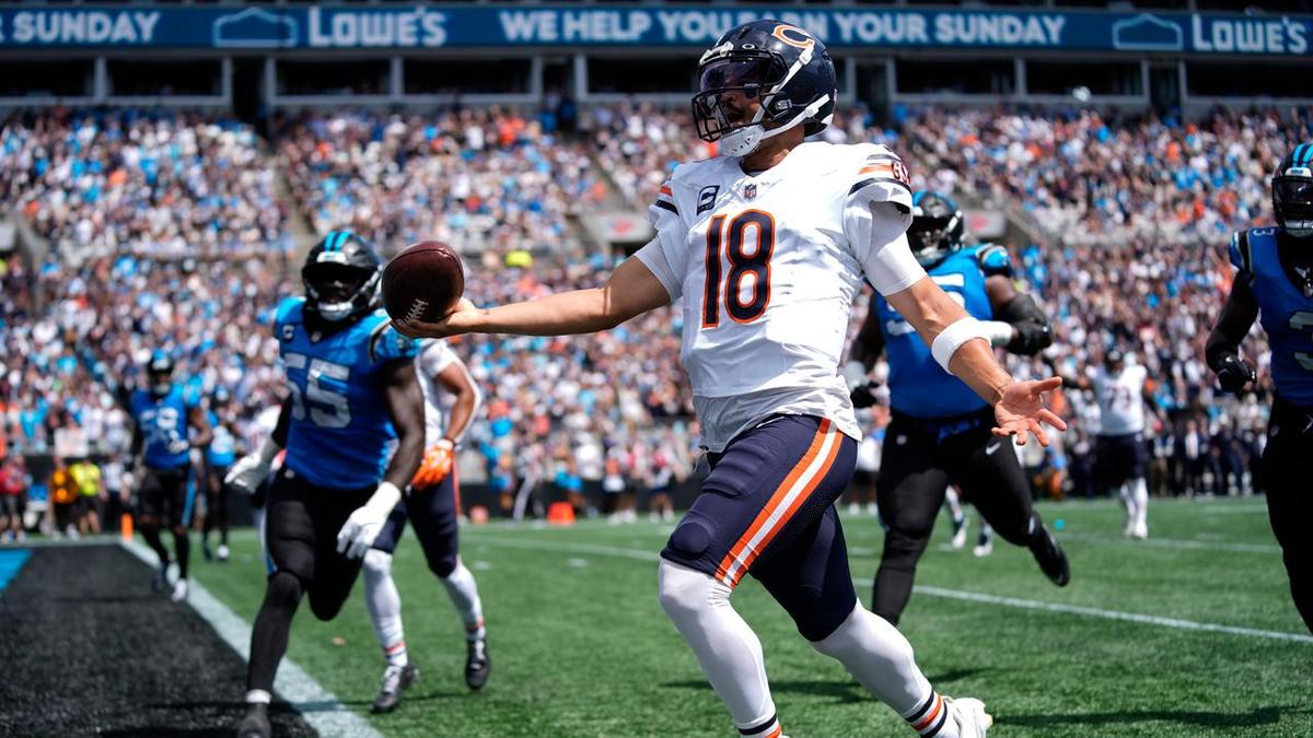 Bears trounce Panthers while Lions and Bills also win