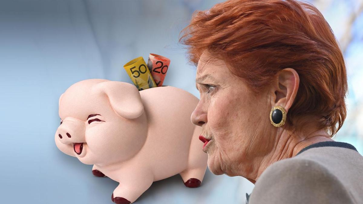 Ben Harvey: Pauline Hanson’s early access for superannuation plan actually adds up