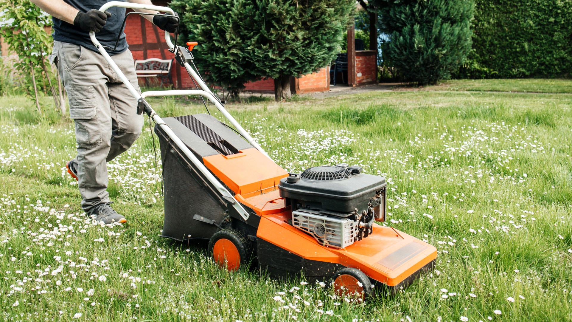 Best time of day to mow your lawn this autumn for lusher and greener grass next spring