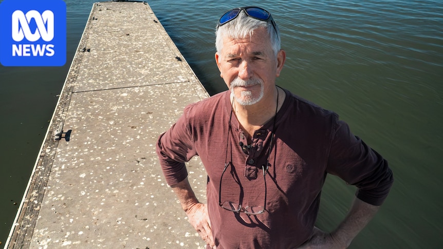 Bird poo concerns in SA town grappling with avian flu
