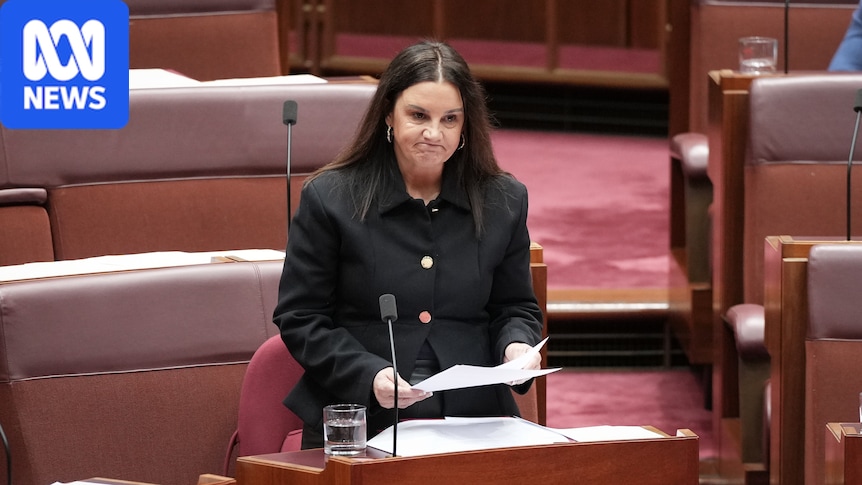 'Bloody coward': Lambie blasts Hanson over 'disgusting' Hastie traitor cartoon