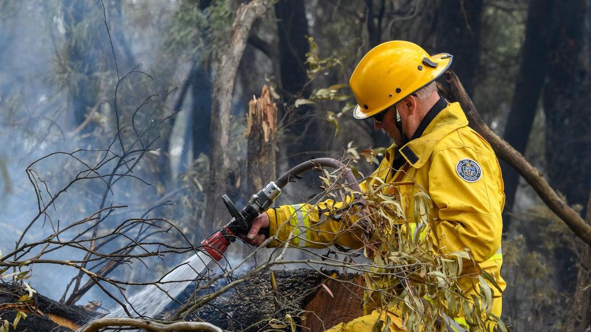 'Bloody dangerous': world to exceed 1.5-degree warming