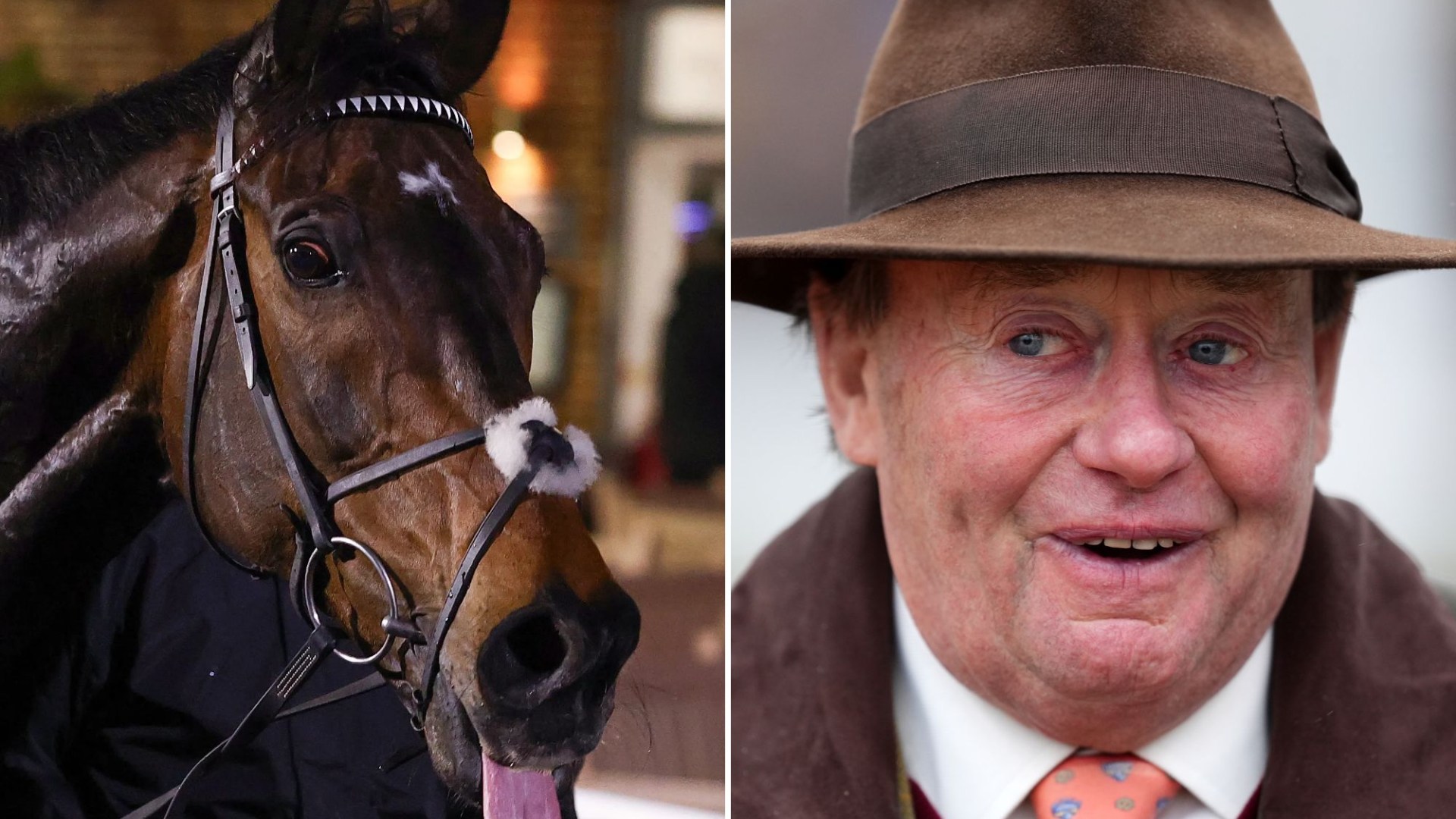 Bookies SLASH Constitution Hill’s odds for race ‘he cannot win’ in the view of trainer Nicky Henderson