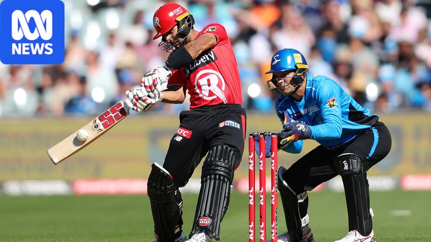 Breaking: Cricket Australia agrees to bring private investment to Big Bash