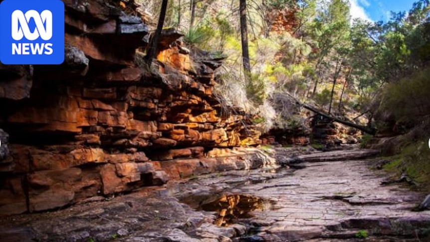Breaking: Search underway for hiker missing at Mount Remarkable National Park
