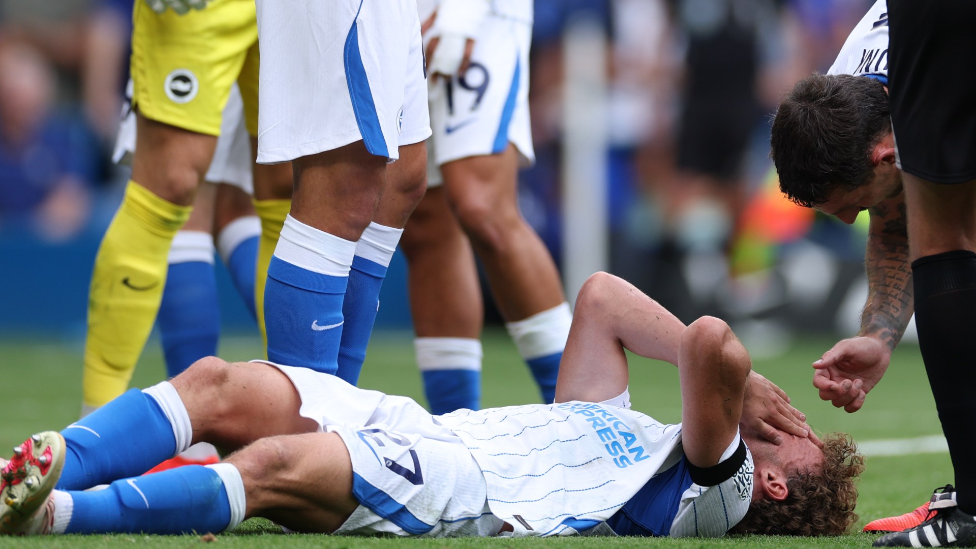 Brighton star Mats Wieffer ruled out for four matches with bizarre knee injury after getting smacked in FACE by ball