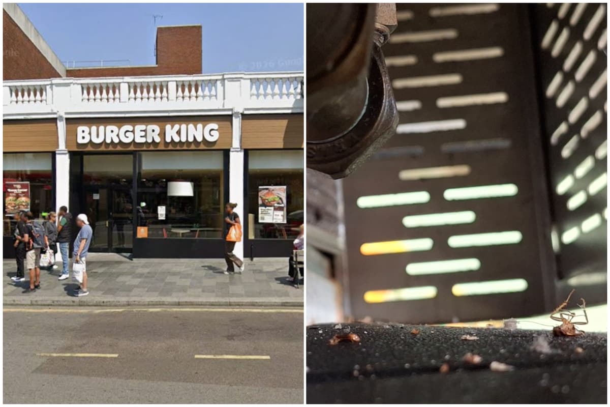 Burger King in south London handed one star hygiene rating after 'active cockroach infestation'