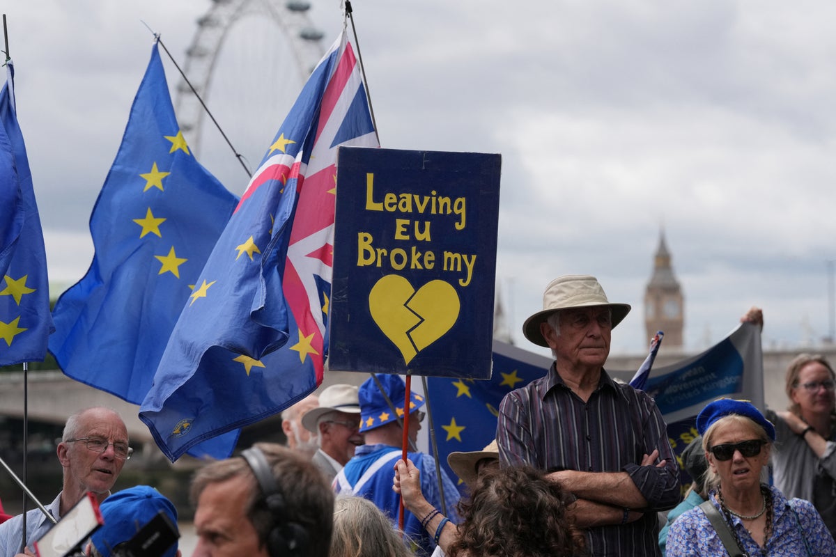 Burnham should scrap Labour’s red lines on Brexit and get closer to EU, voters say