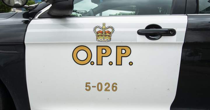 California resident dead after vessel capsizes on Georgian Bay: OPP