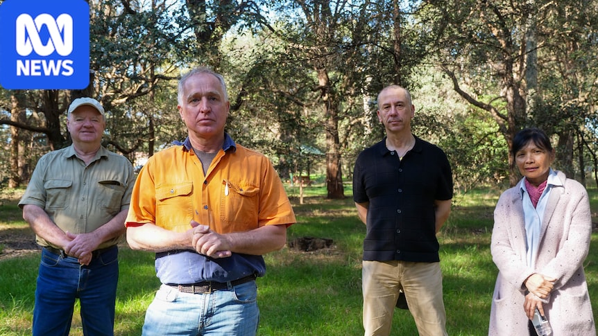 Call for rezoning rethink to protect endangered parrots in Sydney's inner west